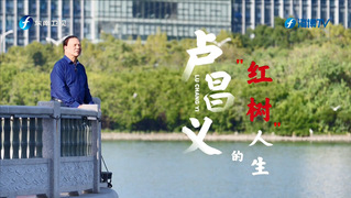 超赞！福建东南卫视专题报道卢昌...